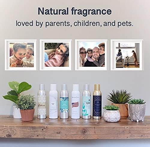 AP Fragrance Belfair Oaks Room Fragrance Air Freshener Spray - Image 6