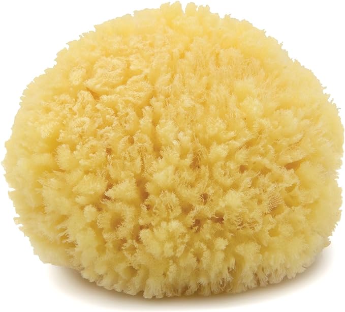 Neptune Caribbean Sea Sponge, Hand Cut, Approx. 5-6 inches by Unknown