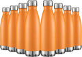 HASLE OUTFITTERS 17oz Stainless Steel Water Bottles Bulk, Vacuum Insulated by HASLEOUTFITTERS