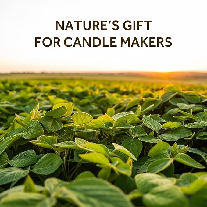 NORVENCE Soy Wax for Candle Making, Natural Soy Wax Flakes 10lb, Premium Candle - Image 2