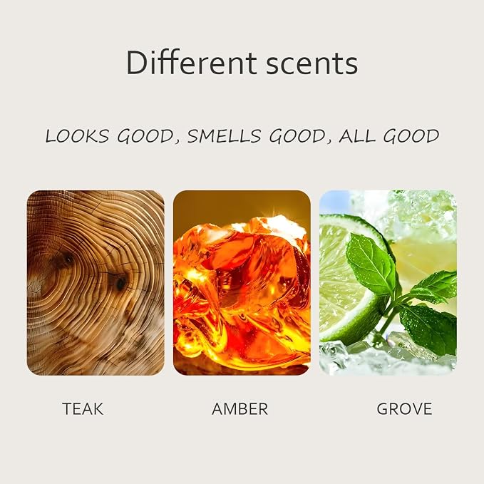 Amber Air Freshener, Stone Scent Starter Kit, Odor Eliminator - Image 3