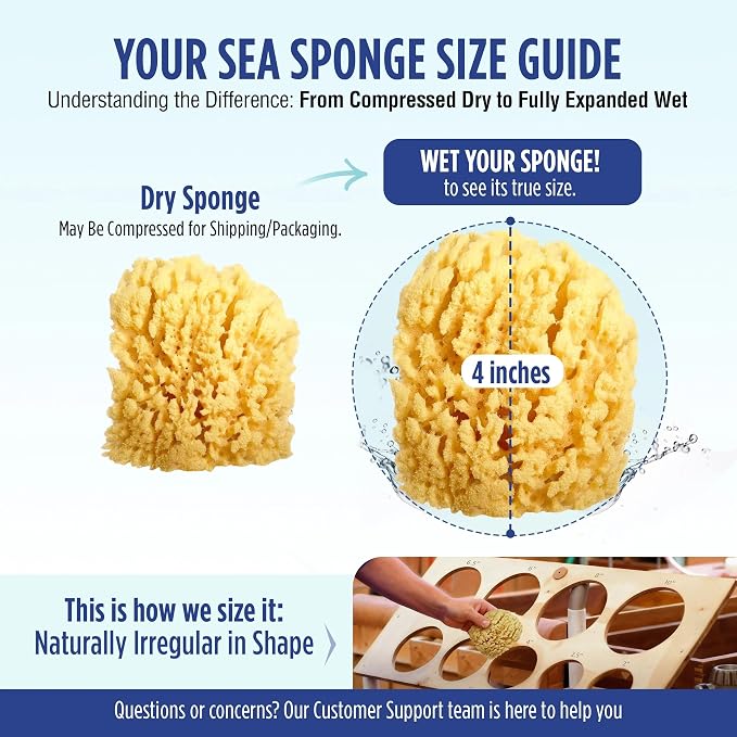 Baby Buddy Baby Bath 4in Yellow Sea Sponge, Absorbent Natural Sea Sponge - Image 7